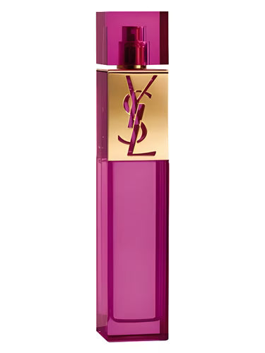Yves Saint Laurent YSL Elle